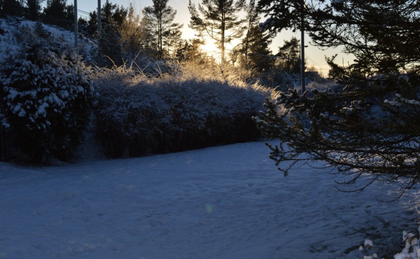 Vakker vinter på vestlandet