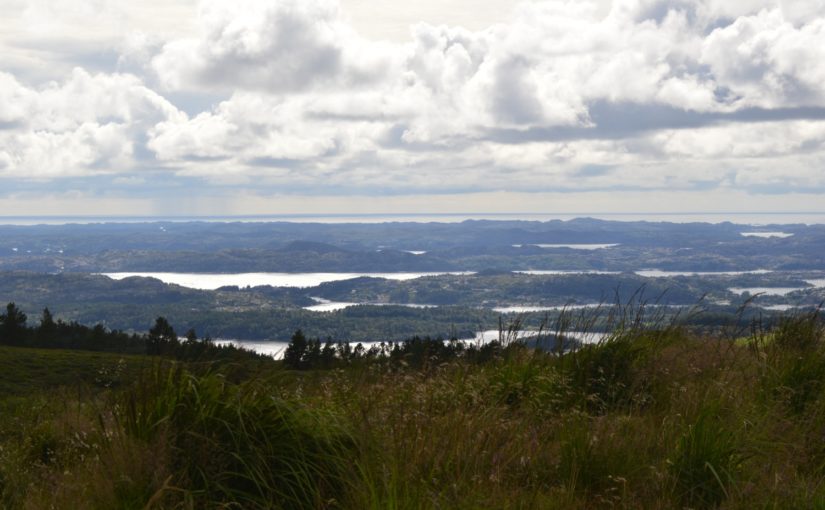 Midtfjellet vindpark!